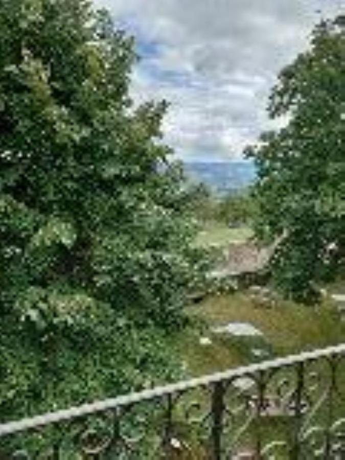 丽芙里城堡住宿加早餐旅馆 Riverie 外观 照片